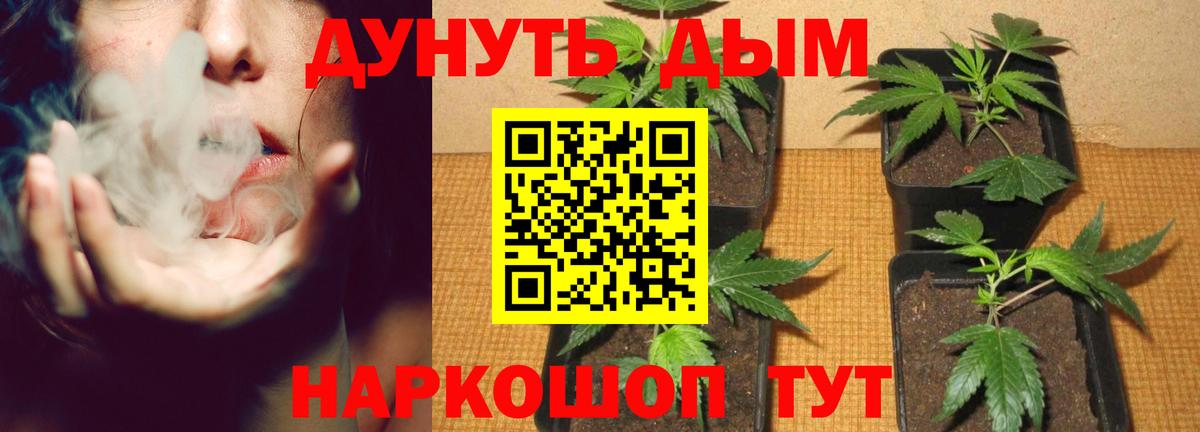 Каннабис Bruce Banner  Вход с VPN  Бошки Шишки SATIVA & INDICA  Шишки марихуана AK-47  Шишки марихуана THC 21%  Семёнов 